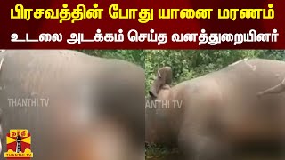 பிரசவத்தின் போது யானை மரணம் |  உடலை அடக்கம் செய்த வனத்துறையினர்