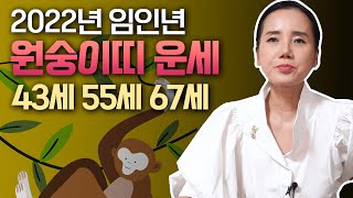 '43세 경신생·55세 무신생·67세 병신생' l 2022년 임인년 '원숭이띠 운세' [광명점집]