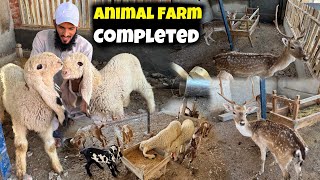 Animal Farm Complete Ho Gaya 🥰Ab Kesa Lag Rha 🤔