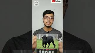 Bull Market vs Bear Market Simplified |Bengali | Basics of Stock Market