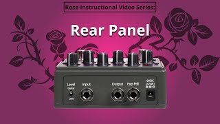 1. Eventide Rose - Rear Panel