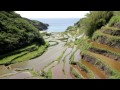 佐賀県　浜野浦の棚田　その2