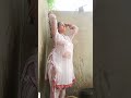 desi aunty bathing vlog