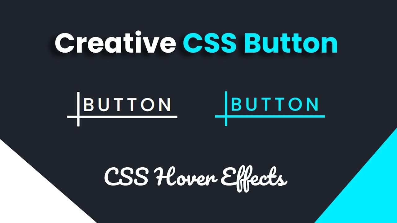 Creative CSS Button Animation Hover Effects | Button Hover Transition ...