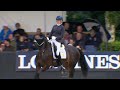 final 5yo horses i fei wbfsh dressage world breeding championship for young horses 2023