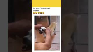 Doggy Style - How to do it Right🤣🤣 #shorts #viralvideo #viralshorts