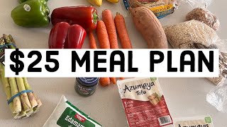 $25 Meal Plan | Eating Healthy on a Low Grocery Budget | Easy Meals High Protein + Tons of Veggies!