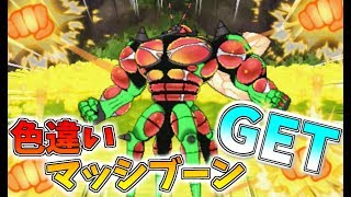 【ポケモンUSM】色違いマッシブーンゲットしました【ゆっくり実況】ウルトラサン ムーン