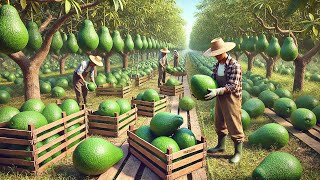 Indonesios Cultivan Toneladas de Aguacate de Esta Forma