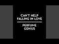 Can't Help Falling In Love