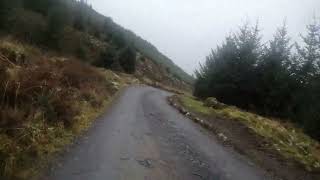 Preseli Pantmaenog MTB final descent