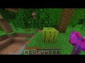 【minecraft】小心！暴怒的西瓜🍉｜隱藏彩蛋