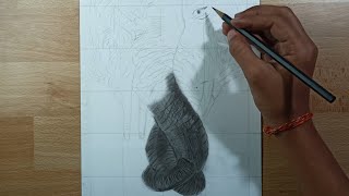 2 Elephants Realistic Drawing 😍 || How to Draw Realistic Elephant Drawing