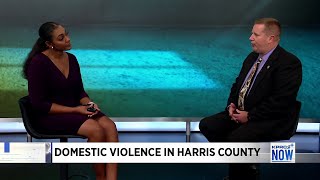 HCSO Domestic Violence Awareness