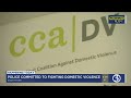 VIDEO: Resources available for domestic violence victims