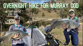 Murray cod fishing ; New PB’s and the fattest cod I’ve ever seen.