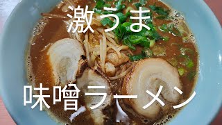 No397  鶏ガラスープで美味しい味噌ラーメン