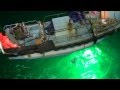 The video of Led fishing light test in ocean 1