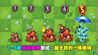 PvZ：1-5阶逃脱树根测评：5阶质变！特性最多的植物！【庄先森解说】