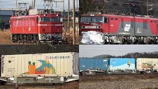 【ENG SUB】東北本線コンテナ貨物列車と臨時配給列車・たくさん撮影２５本 警笛付き Japanese Freight Train