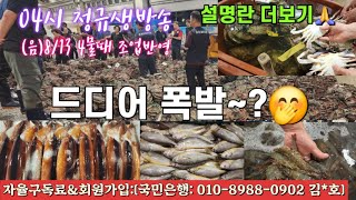 노량진수산시장 04시 정규생방송~^^ 새롭고 다양하고 가장 싼 노량진수산새벽시장은 대한민국 수산물 시세의 지표다. #꽃게#킹크랩#대게#활어#횟감#오징어#선어#참치