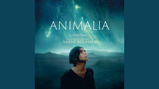 Animalia Main Title 1