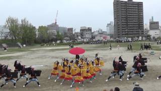 2016 4 10 どまつり夜桜in岡崎  多目的広場会場  いりゃあせ南都 アップ