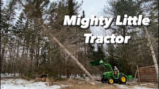 Felling Trees with my John Deere 3025e and STIHL ms261