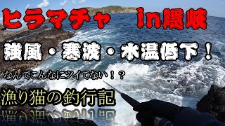 ヒラマサチャレンジ、略してヒラマチャ！　in隠岐の島