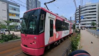 都電荒川線8800形8805号　早稲田行き大塚駅前～向原通過(2024/6/22)