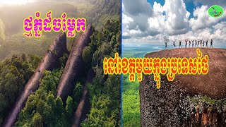 ថ្មចម្លែកនៅខេត្តមួយនៃប្រទេសថៃ មានរូបរាងដូចគ្រួសារត្រីបាឡែន