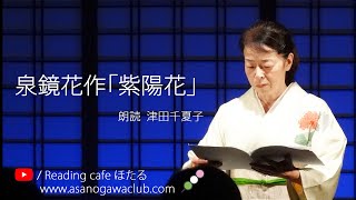 ＜小説＞泉鏡花作「紫陽花」 朗読＊津田千夏子