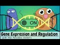 Gene Expression and Regulation