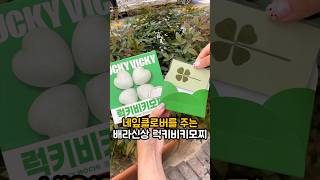 행운 필요하신 분들! 진짜 네잎클로버 주는 배라 신상 모찌 어떠세요🍀 #신상리뷰 #아이스크림 #모찌 #네잎클로버