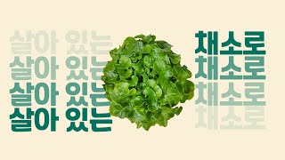 livfarm_ㅍㅍㅍ편, 푸짐하고 프레시한 거 팜 #salad #다이어트