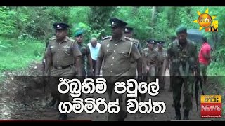 ඊබ්‍රහිම් පවුලේ ගම්මිරිස් වත්ත - Hiru News