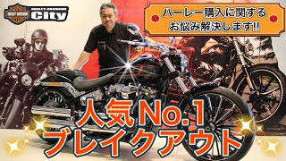 【人気№1ハーレー】ブレイクアウト紹介\u0026ハーレー購入時の不安払拭します！【あなたも買える！】