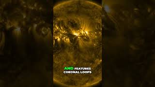 What's Lying in the Sun's Corona?