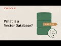 What Is a Vector Database and How Can It Help Meet Business Needs