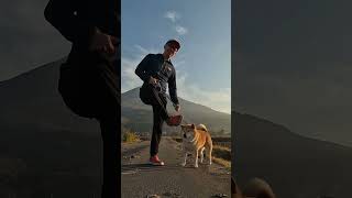 車に揺られること２時間、僕は何しに来たの？🐶筑波山　犬連れ登山のはずが　#shorts