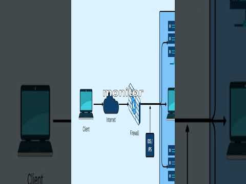 Firewalls and IDS/IPS