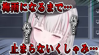 花粉でくしゃみがとまらない空澄セナまとめ【空澄セナ/アステル/アルス・アルマル/すもも/ぶいすぽ/切り抜き/VTuber】