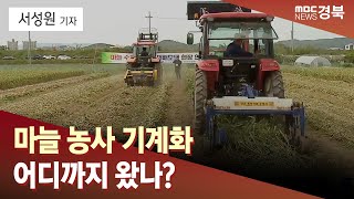 [R]마늘 농사 기계화 현주소는? / 안동MBC