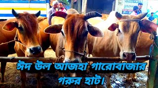 ঈদ উল আজহা জমজমাট গারোবাজার গরুর হাট।