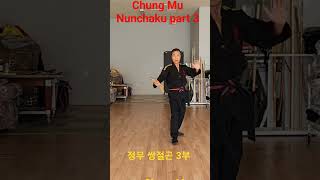 Chung Mu Nunchaku part 3 정무 쌍절곤 3부