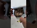 loacker quadratini peanut butter asmr