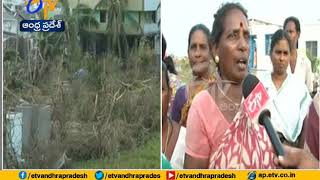 Cyclone Titli | Houses and trees collapses in Srikakulam district