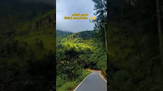 අතහැරිමමයි සැනසීම 🙏🙂 #subscribe #trending #viralvideo #travel #shorts #youtubeshorts