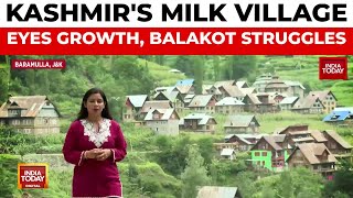 Kashmir's Milk Village Aims for National Recognition, Balakot Villagers Face Shelling | India Today