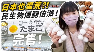 日本也蛋荒？！民生物價翻倍漲，札幌超市雞蛋一人限購一盒！